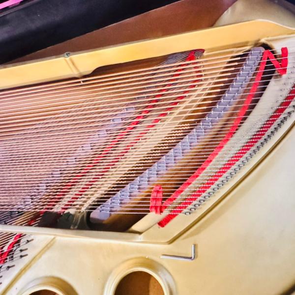 YAMAHA G5 Black Grand Piano | Used Pianos Dubai