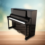 Kawai KD40S (2007591) – Premium Sound