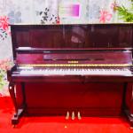 Diapason 125 Mahogany Finish 0113201 (Kawai Made)