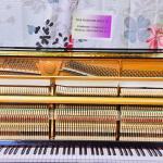 Kawai NS 15 Upright Piano for Sale (1613561)