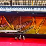 Yamaha U2H Piano Dubai – Professionally Serviced, Free Bench Warranty (2099894)