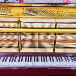 Diapason 125 Mahogany Finish 0113201 (Kawai Made)