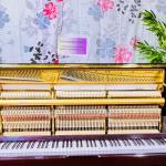 Diapason Royal Piano – Model: 126 ME (56799)– Made in Japan