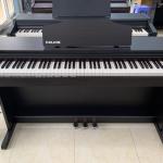 NUX WK 400 Digital Piano - Perfect for Musicians of All Levels